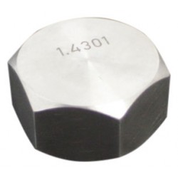 Capuchon en INOX 1 ''G avec joint pour proteger le pas de vis