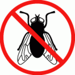 Insektenschutz (für drinnen) Online Kaufen